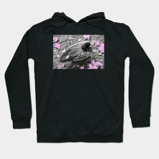 Duck Pink Hoodie